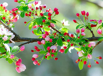 График работы в мае 2025 года